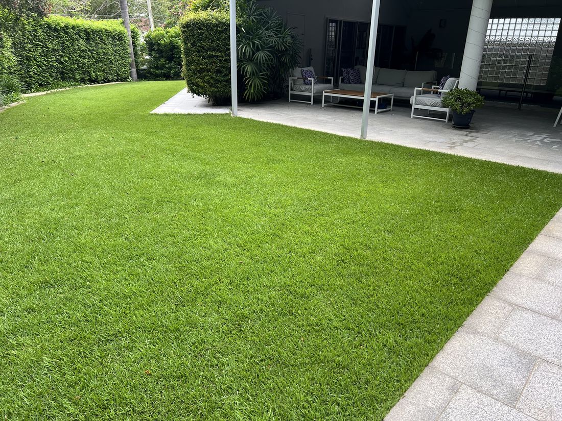 Green healthy turf cared for by My Lawn Doctor