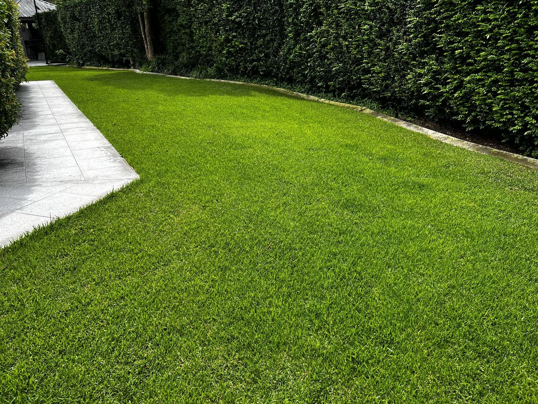 Weed-free lawn after My Lawn Doctor treatment