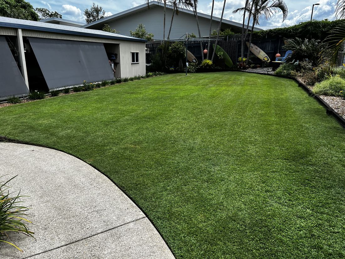 Lush lawn kept healthy year round by My Lawn Doctor