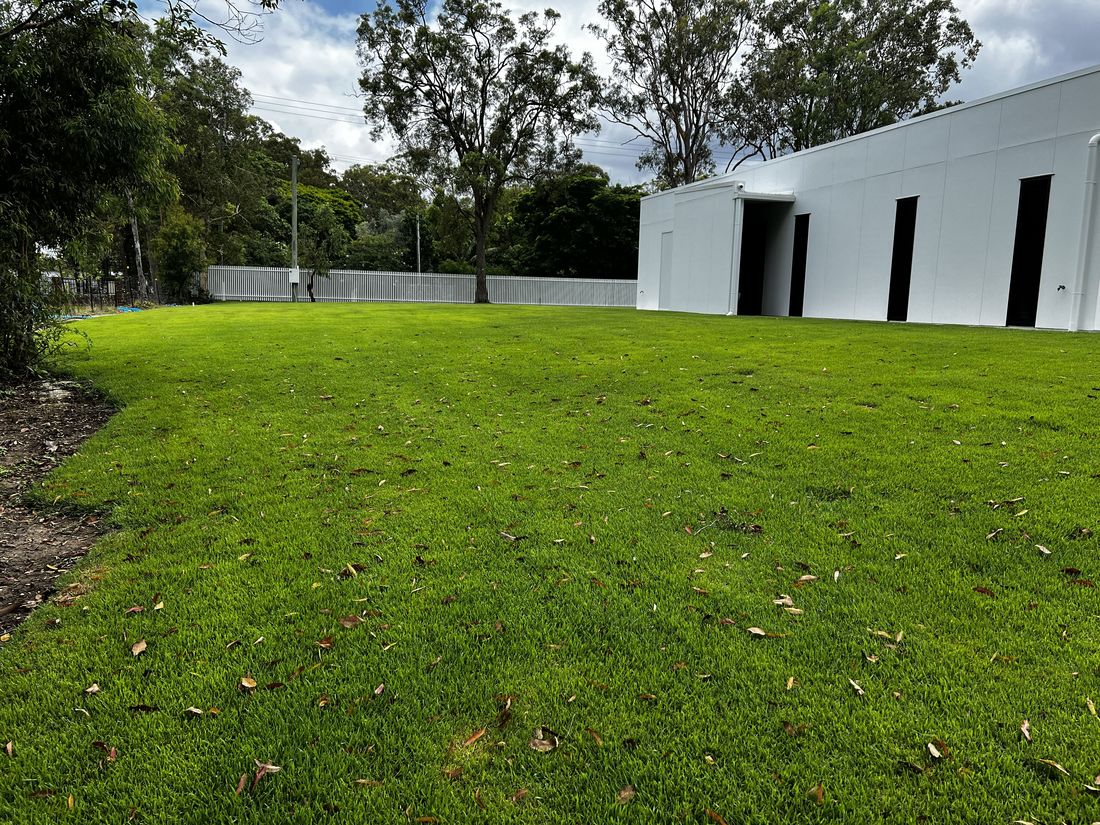 Front lawn revived with regular lawn care