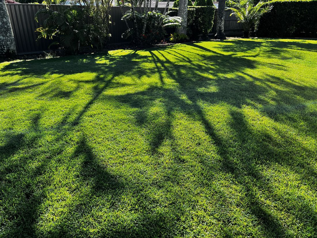 Well-maintained residential lawn