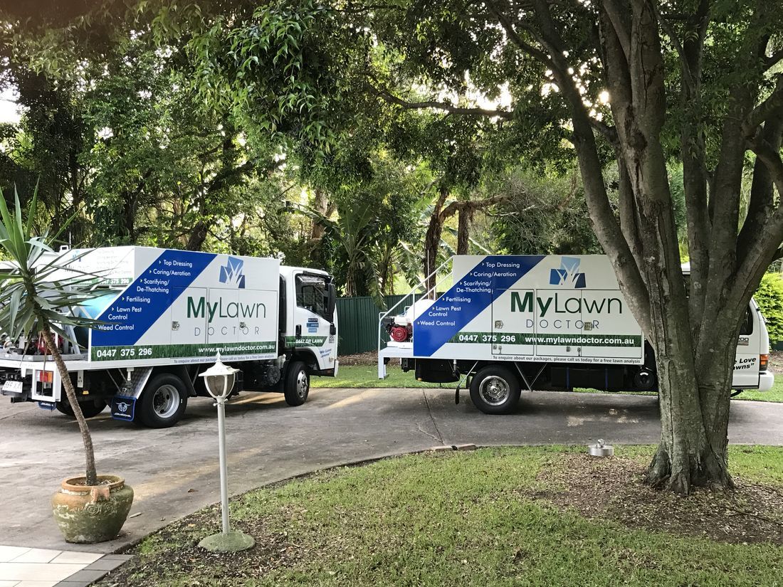 Healthy lawn in South East Queensland