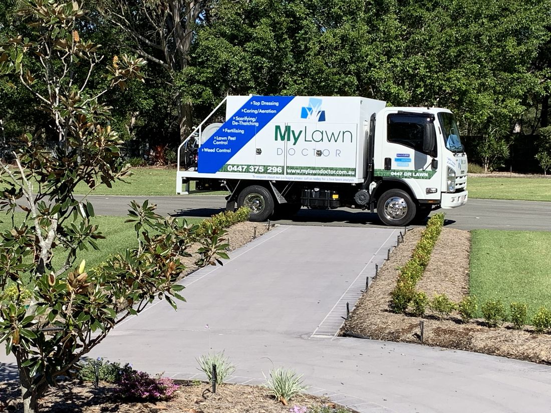Thick, lush lawn cared for by My Lawn Doctor